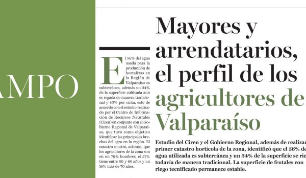 prensa revista el campo web2
