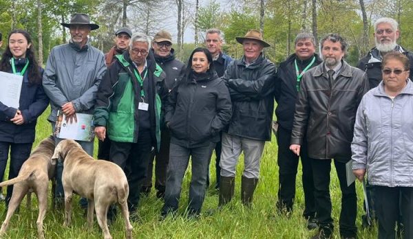 WhatsApp Image 2025-10-09 at 12.50.03