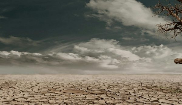 pexels-pixabay-60013 (1)