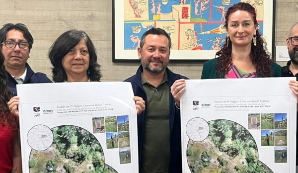 WhatsApp Image 2025-12-15 at 13.01.44 (1)