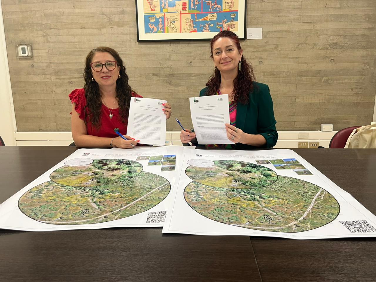 WhatsApp Image 2025-12-15 at 13.01.45