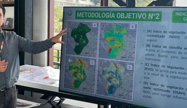 WhatsApp Image 2026-01-14 at 12.11.01 PM WhatsApp Image 2026-01-14 at 12.11.01 PM