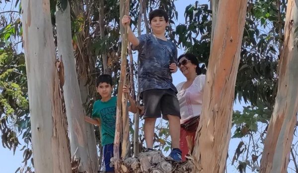 reviviendo el campo 3 (1)