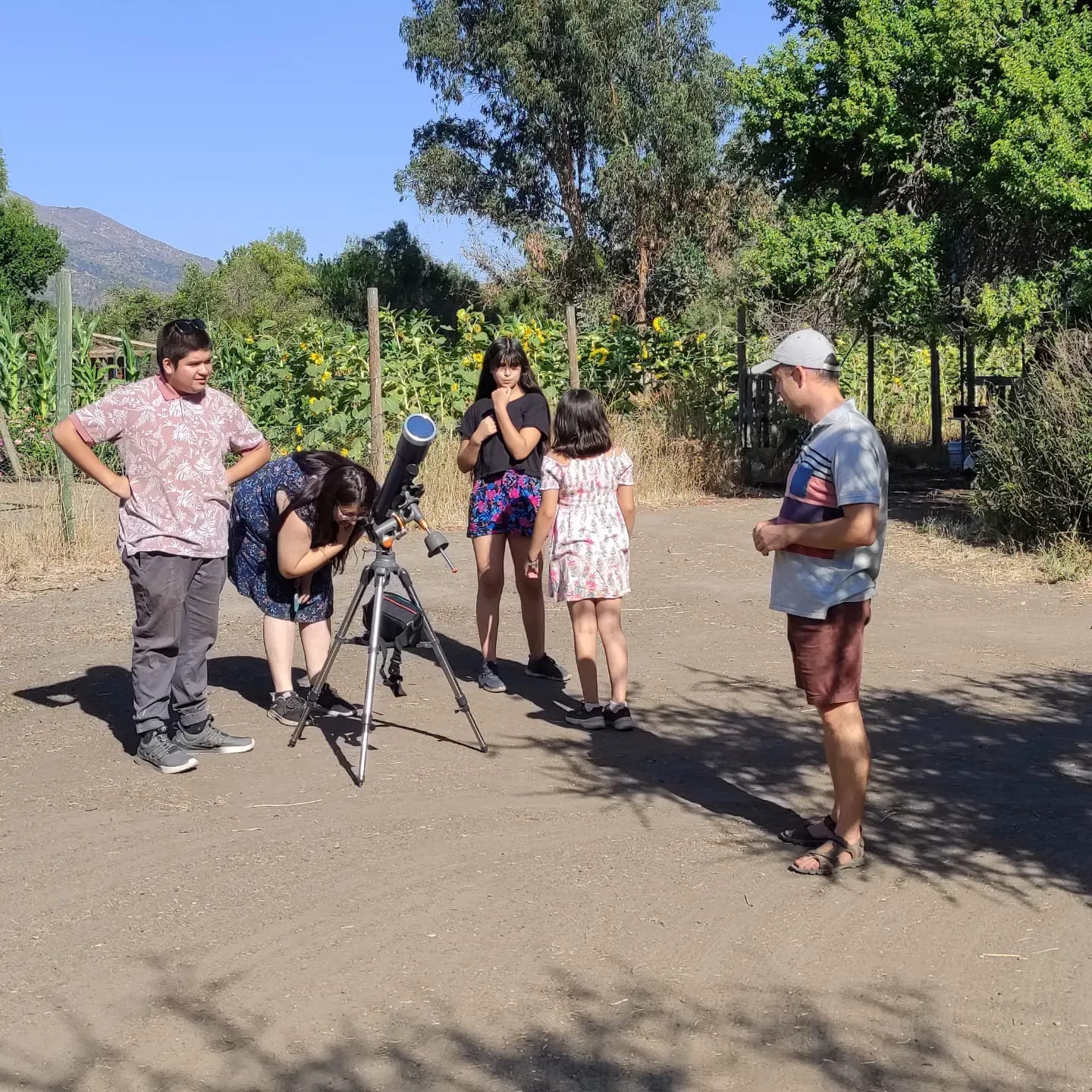 reviviendo el campo 5 (1)