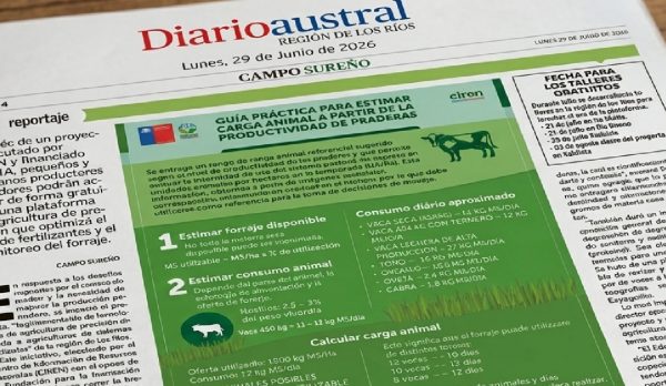 prensa diario austral2-11 (1)